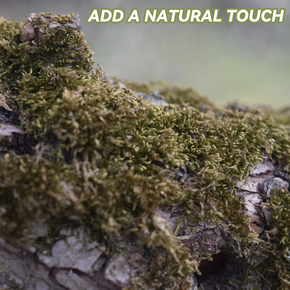 2 Packs Gardening Dried Moss Natural Moss for Flowerpot Moss Landscaping