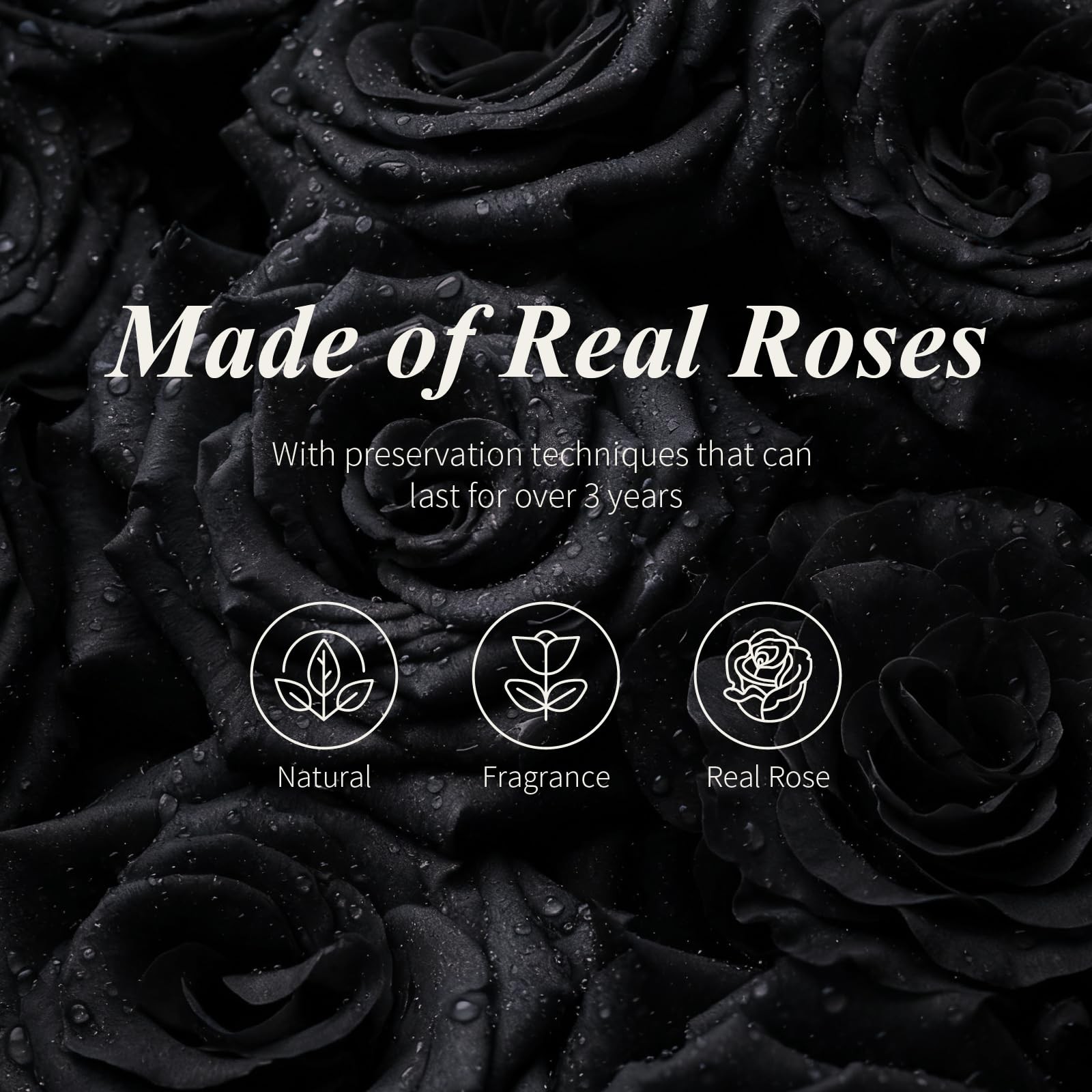 Cyrabota Preserved Roses Black Roses in Glass Dome, 12.3inch Forever Preserve…