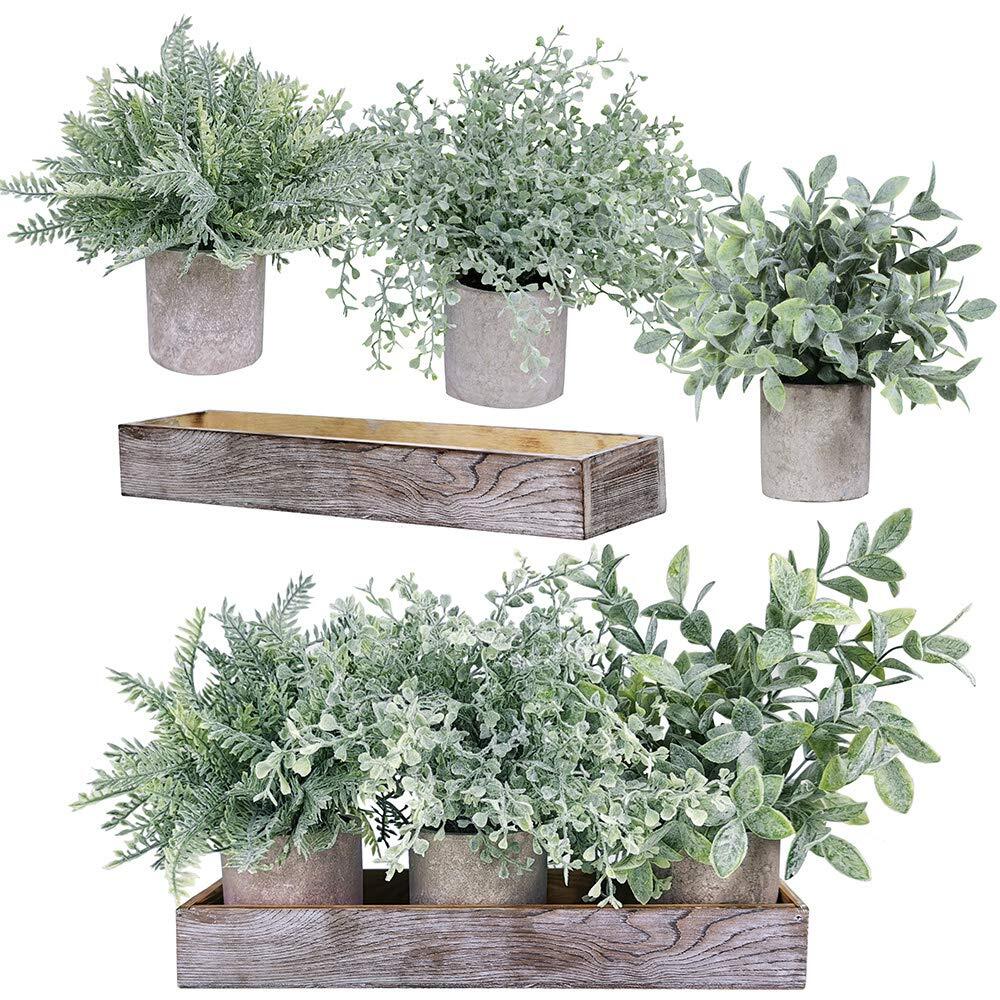 3 Pack Potted Plants Artificial Eucalyptus Boxwood Fern Greenery In Pots With Wo