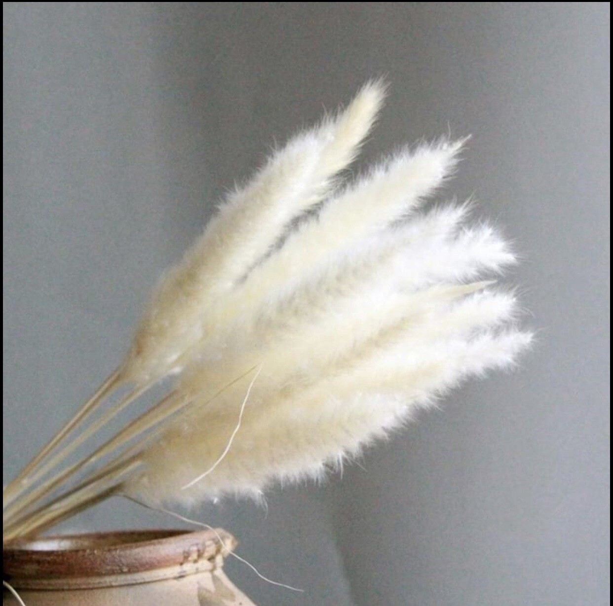 15PCS Natural Dried Pampas Grass 24 In. Reed Flower Wedding Bouquet Home Decors