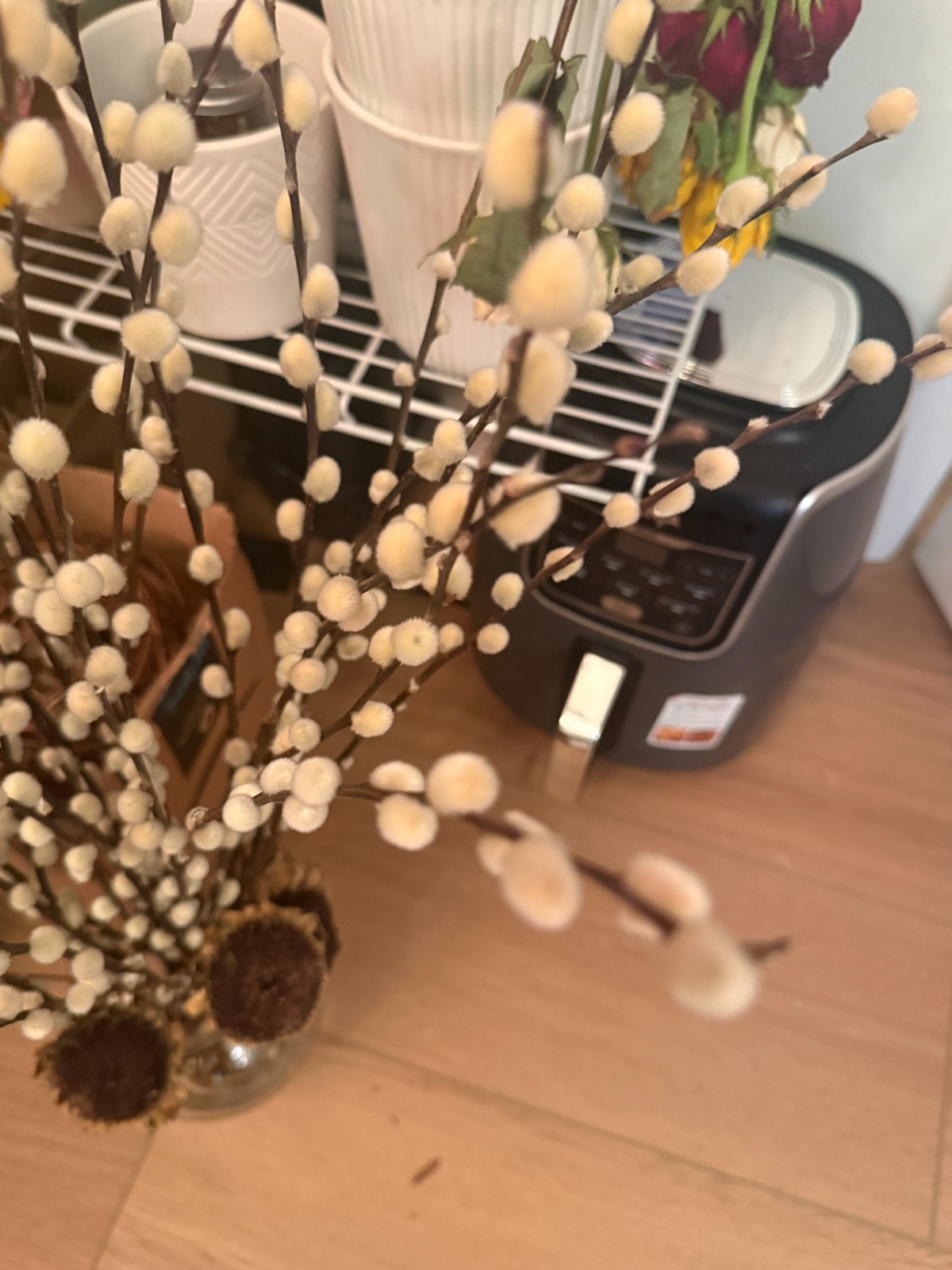 Rustic Natural Dried Pussy Willow Stems for Bouquets Crafts Vase Decor 10 Stalks