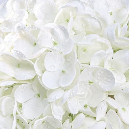 Real Touch Hydrangea Artificial Flowers, 21″ Full Faux Hydrangea 4 Pcs White