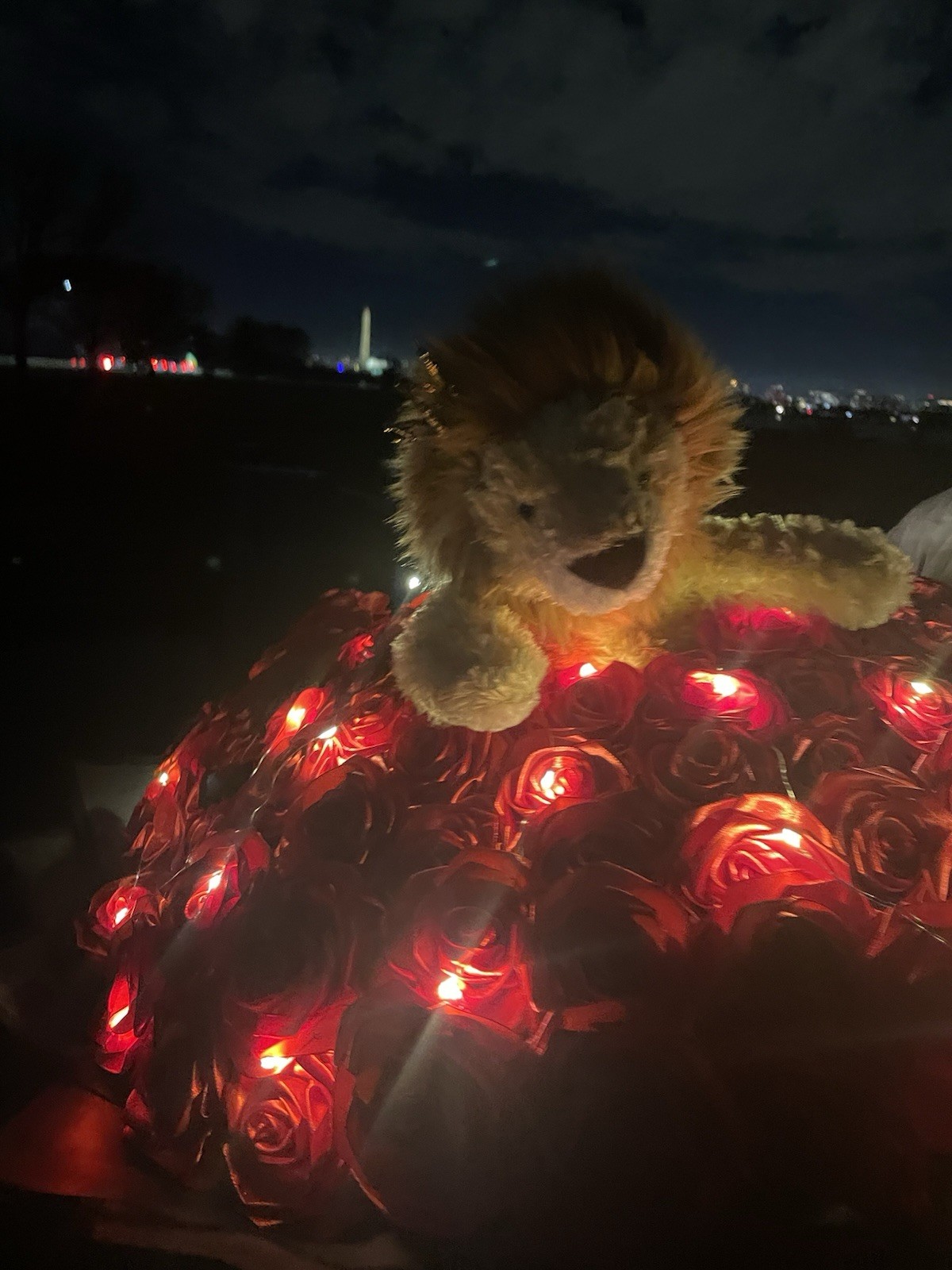 Valentine’s Gift |Artificial Bouquet Of Red Flowers With Lights & Stuffed Animal