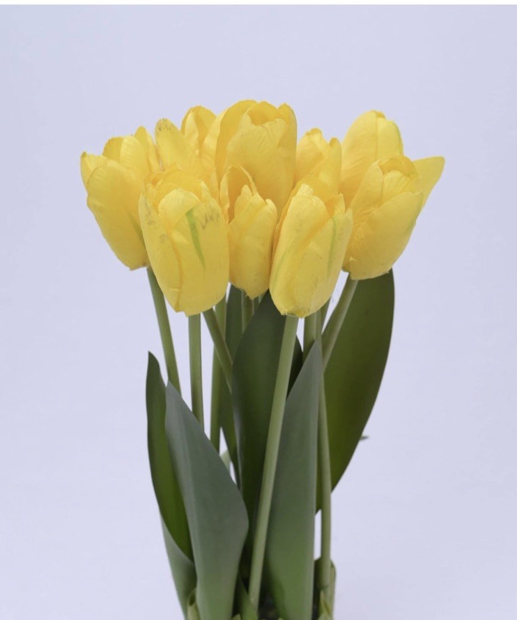 Set of 2 Artificial Yellow Tulip Standing Bunch 14″ Natural Looking NEW!