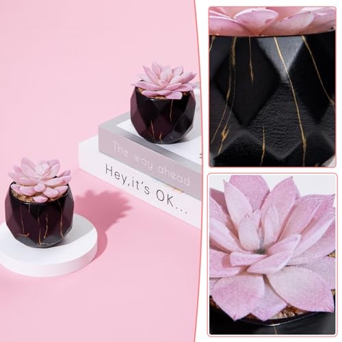 Artificial Succulent Plants in 2 Ceramic Pots, Cute Fake Plants for Black