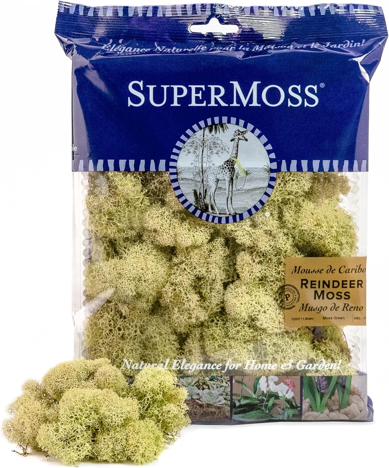 Super Moss 25116 Reindeer Preserved Green 2oz