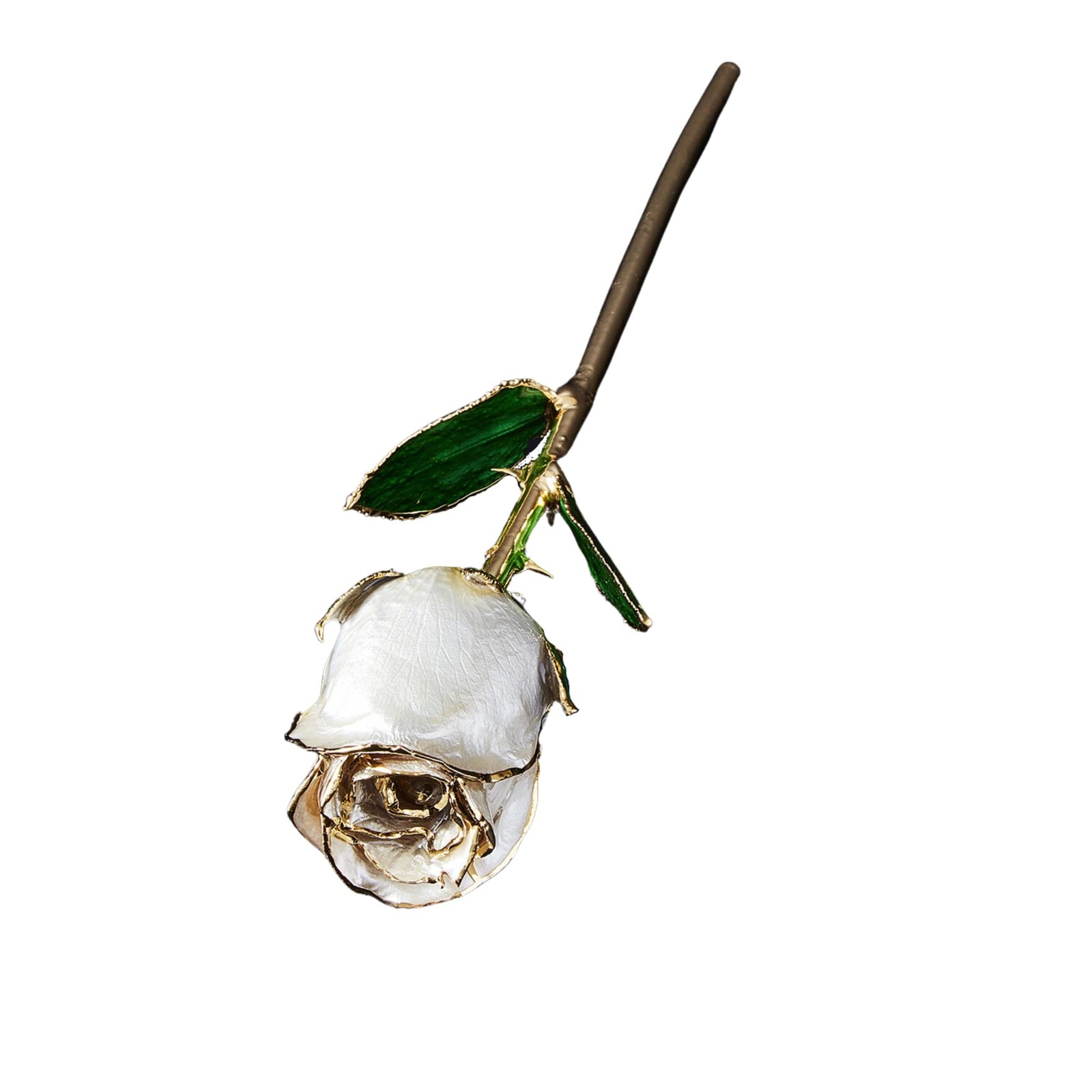 Pearl Collection – Real 24k Gold Dipped Rose – Gift for Her (Angel Dust)