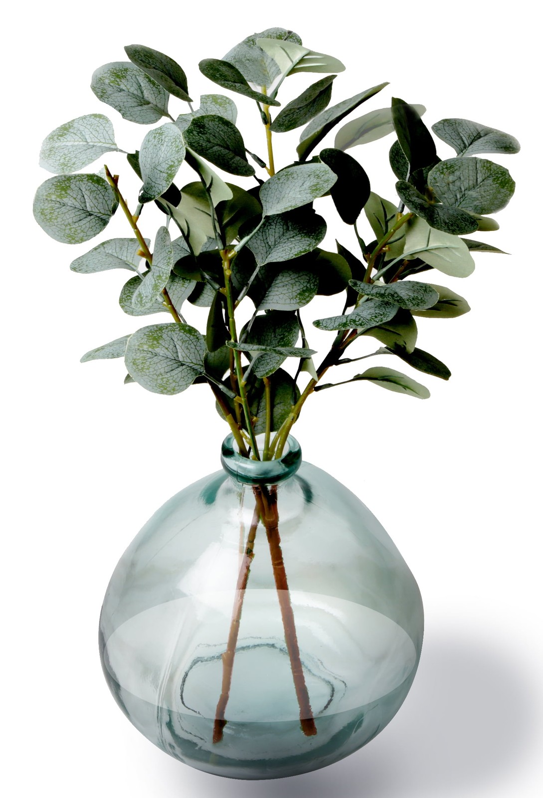 Artificial Green Eucalyptus Leaf Stems in Large Clear Blown Glass Vase