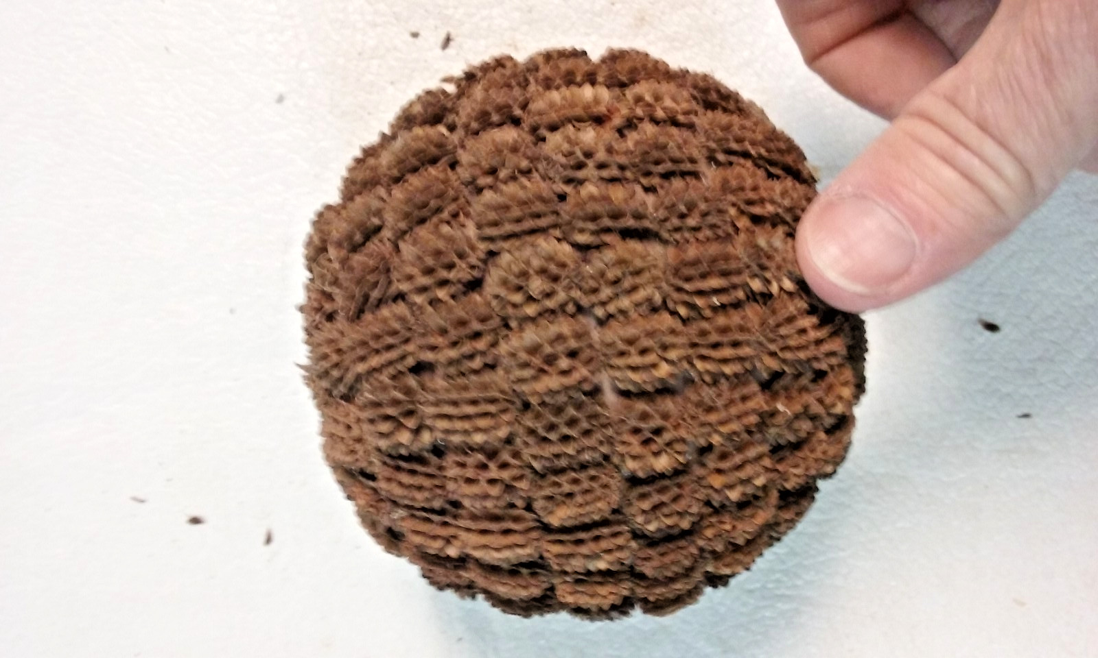 3 Brown Seed Pod Mosaic Decorative Ball Ornaments 5″ to 6″ & 4″ to 5″ wide