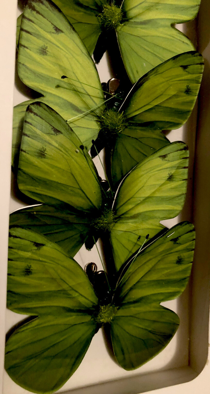 6 BUTTERFLIES 3D PAPER GREEN REALISTIC CLIP ON DECORATIVE FLORAL HOME DECOR