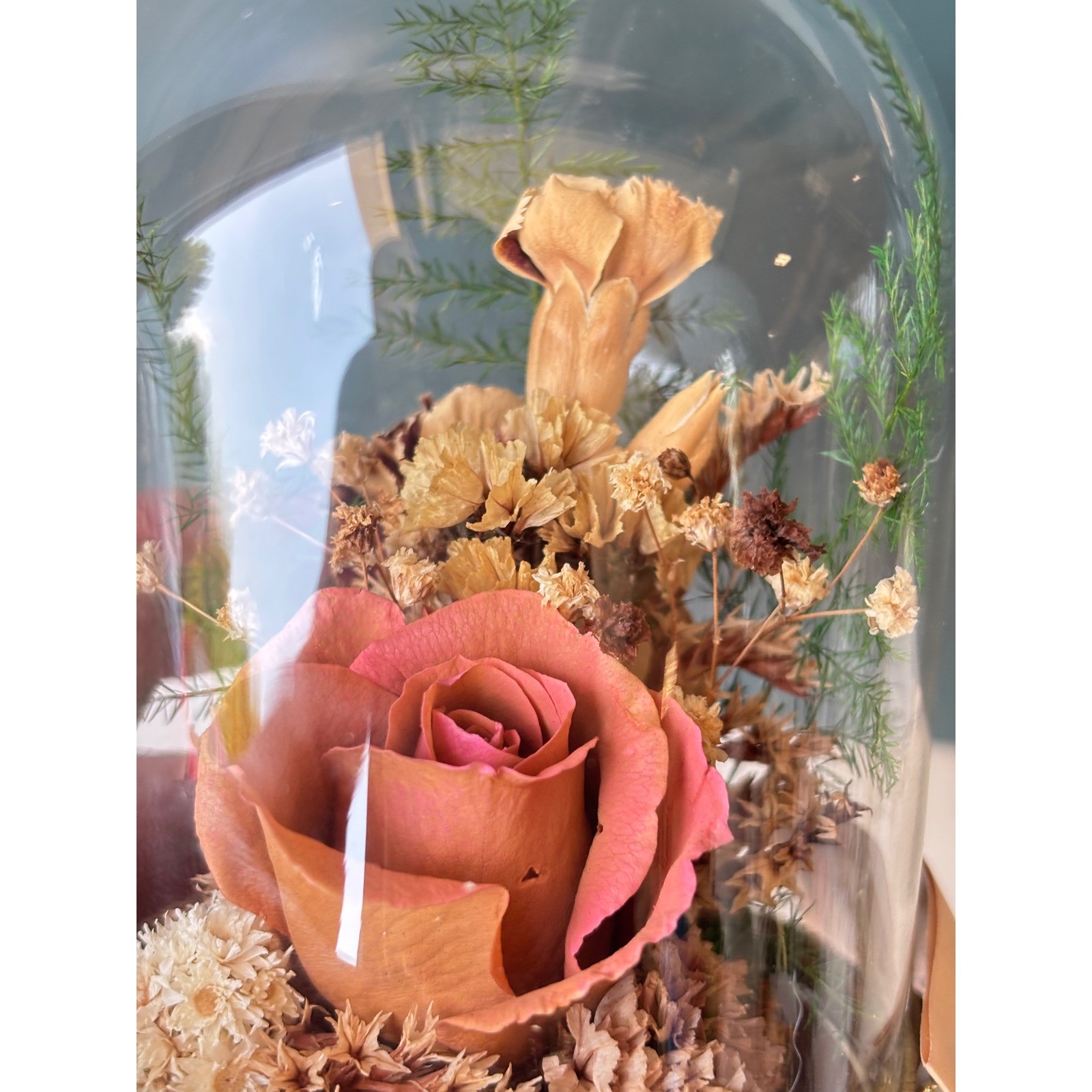 Natural Expressions Dried Flower Glass Cloche Wood Base Preserved Pink Rose 5in