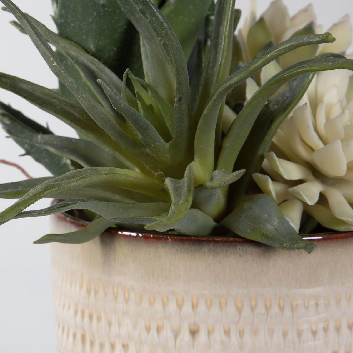 Uttermost 60208 Seaside Succulents Artificial Flower or Plant