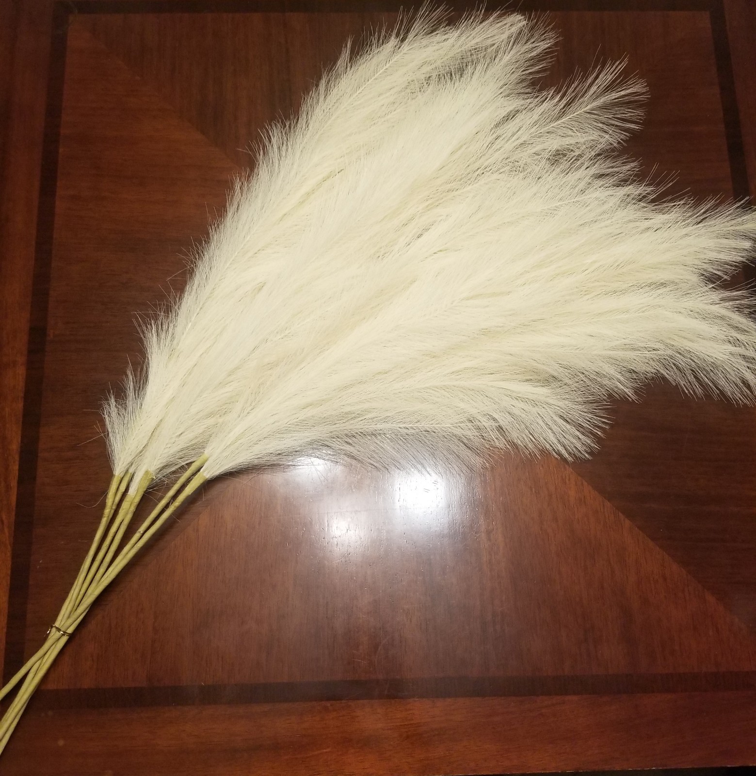 Evodis Faux Artificial Pampas Grass Beige six soft extra-large stems