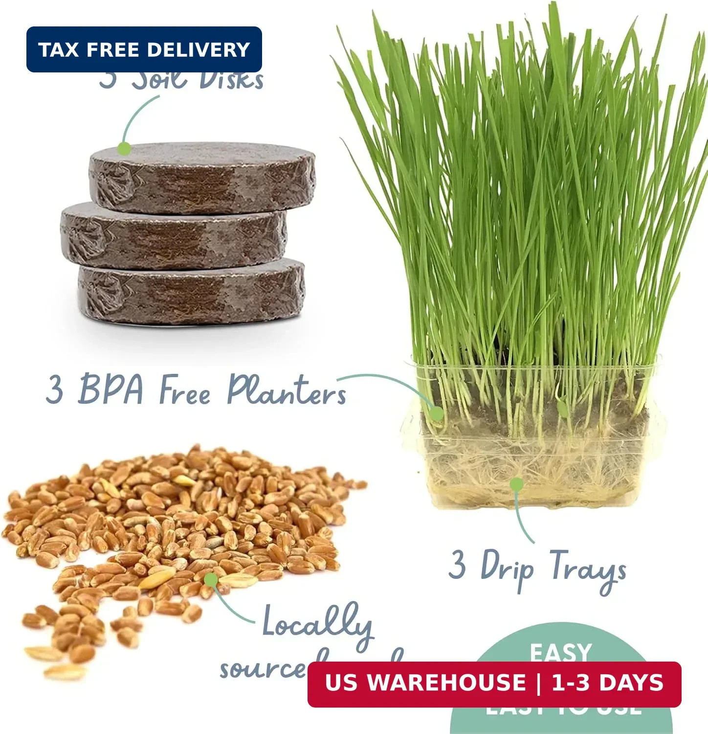 The Cat Ladies Cat Grass for Indoor Cats – Growing Kit – Organic Cat Grass Seeds