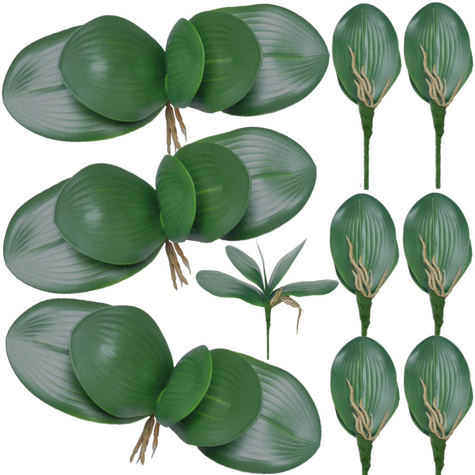 10 PCS Artificial Phalaenopsis Orchids Leaves 11 inches Green Faux Orchids Le…