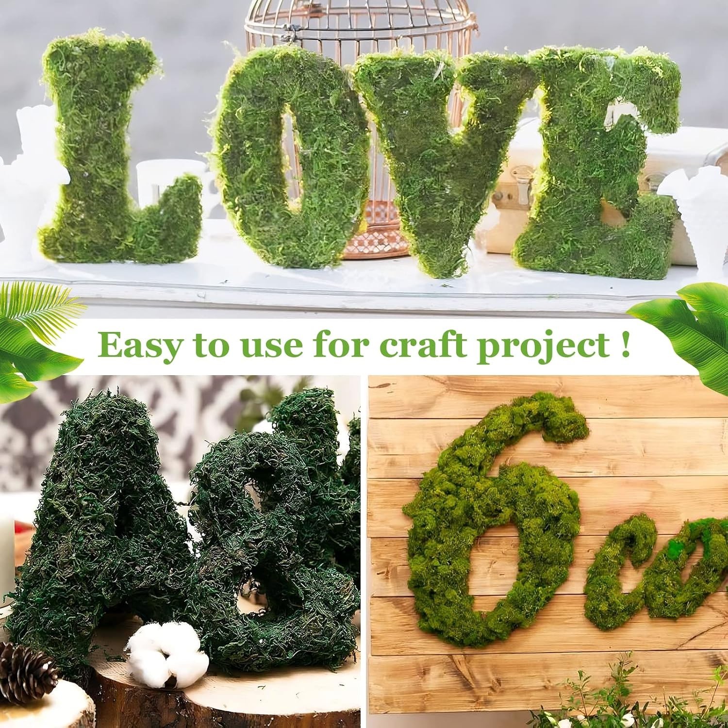Soft and Textured 1.3LB Natural Moss for Fairy Gardens and Floral Displays