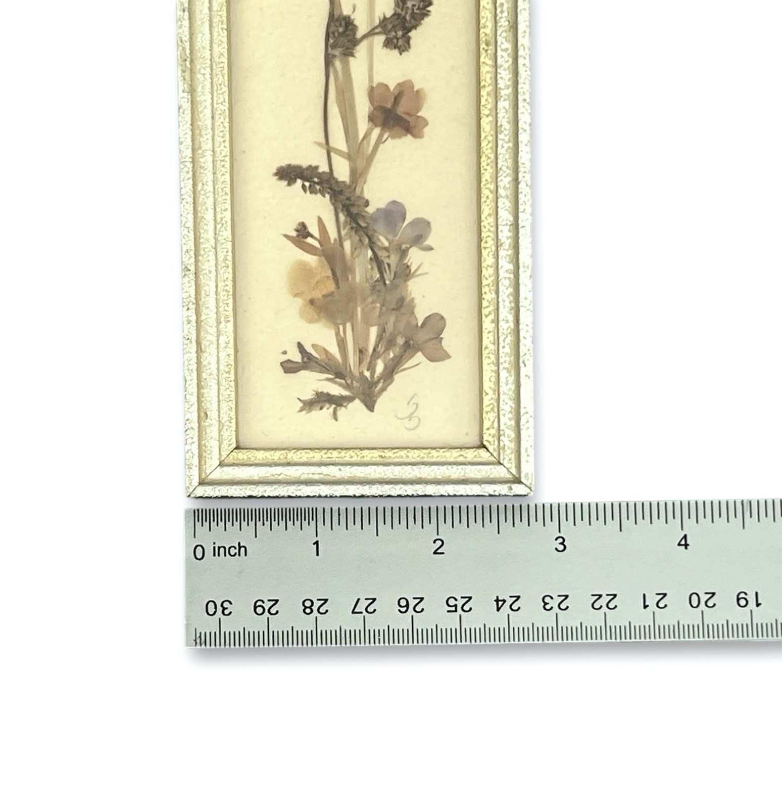 Vintage Pressed Flower Framed Art East Germany 7.5”x2.75” Cottage Core Signed