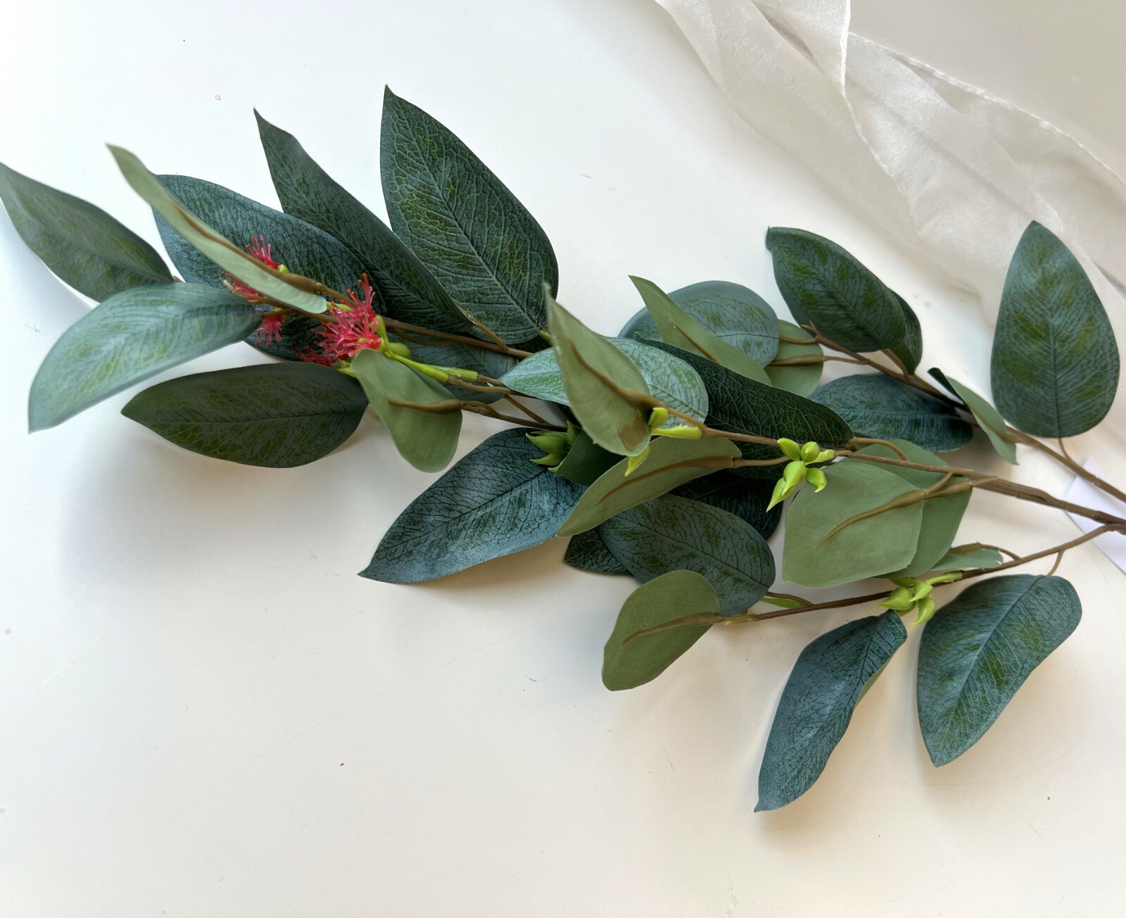 Australian Native Flowers Eucalyptus Blossom Greenery Stem Latex leaf Foliage x1