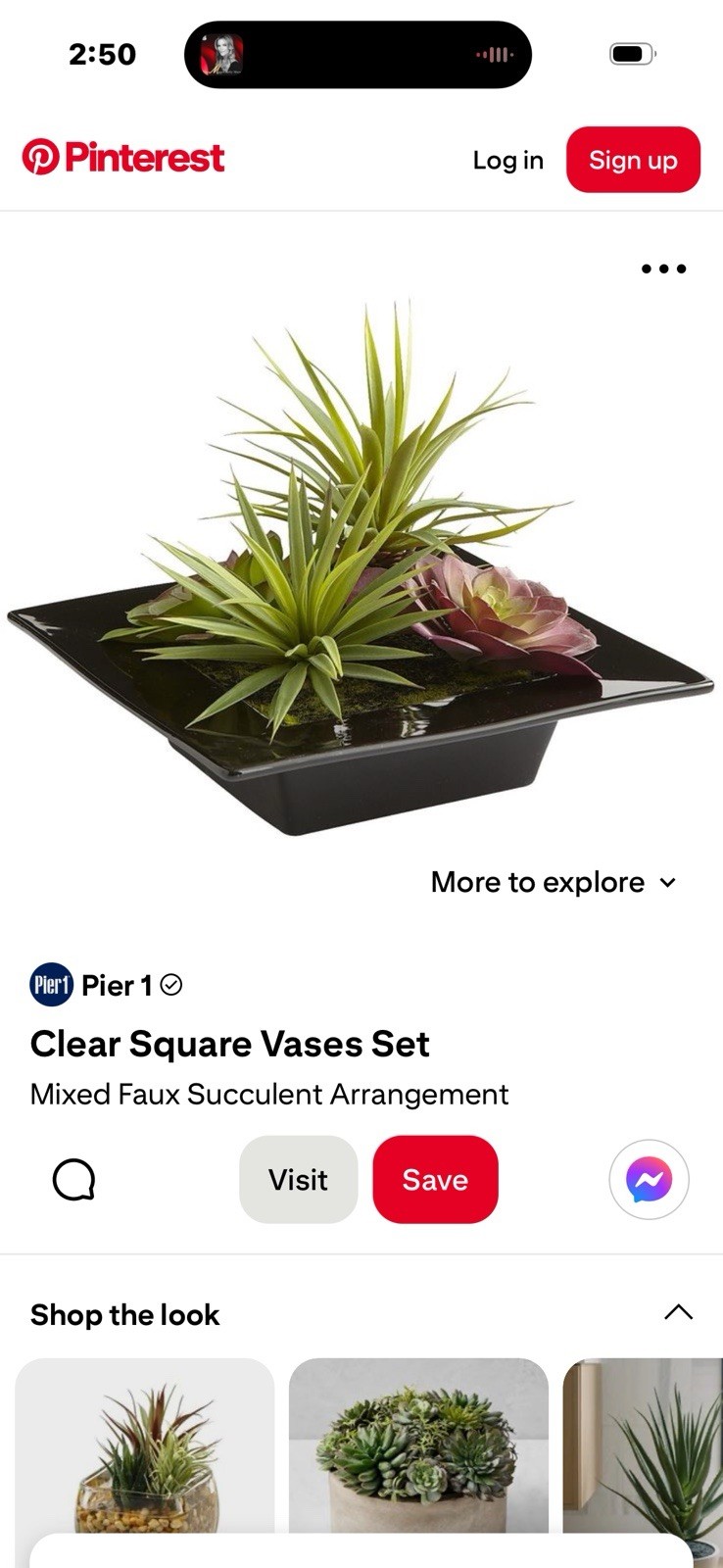 Pier 1 Imports Faux Succulent & Black Glass Organic Arrangement Retired