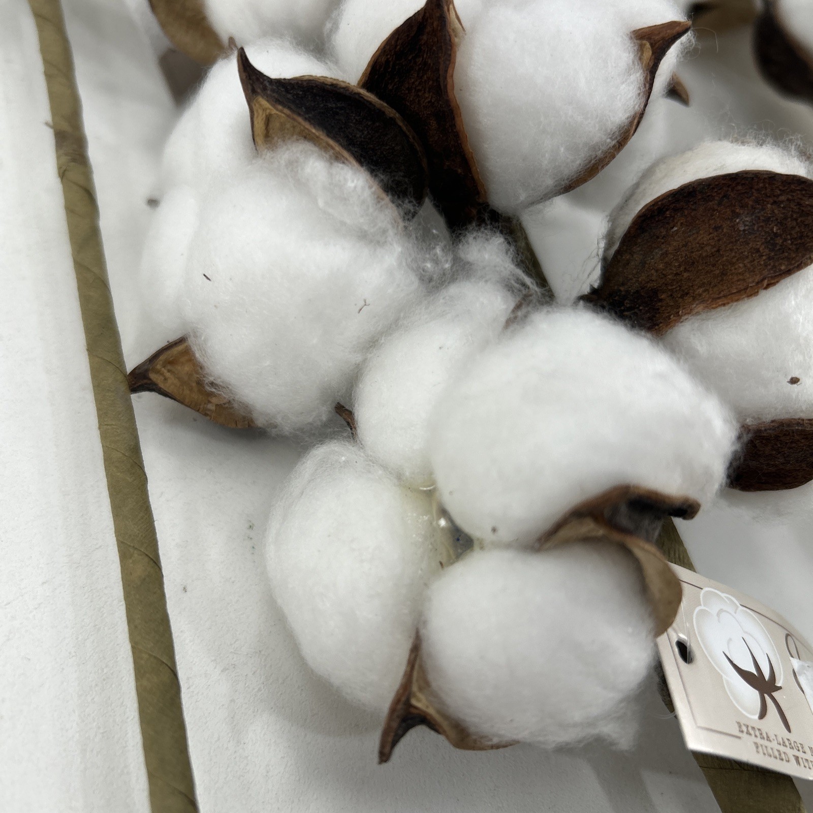 Cotton Stem 20″ Spray Pick Branch Farmhouse Country Home Decor Lot of 5