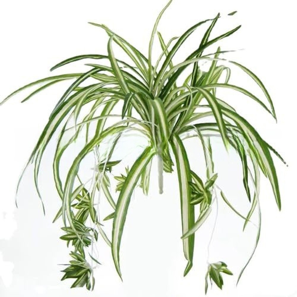 56cm Artificial Foliage Chlorophytum Style Green Plastic Leaves for Decor