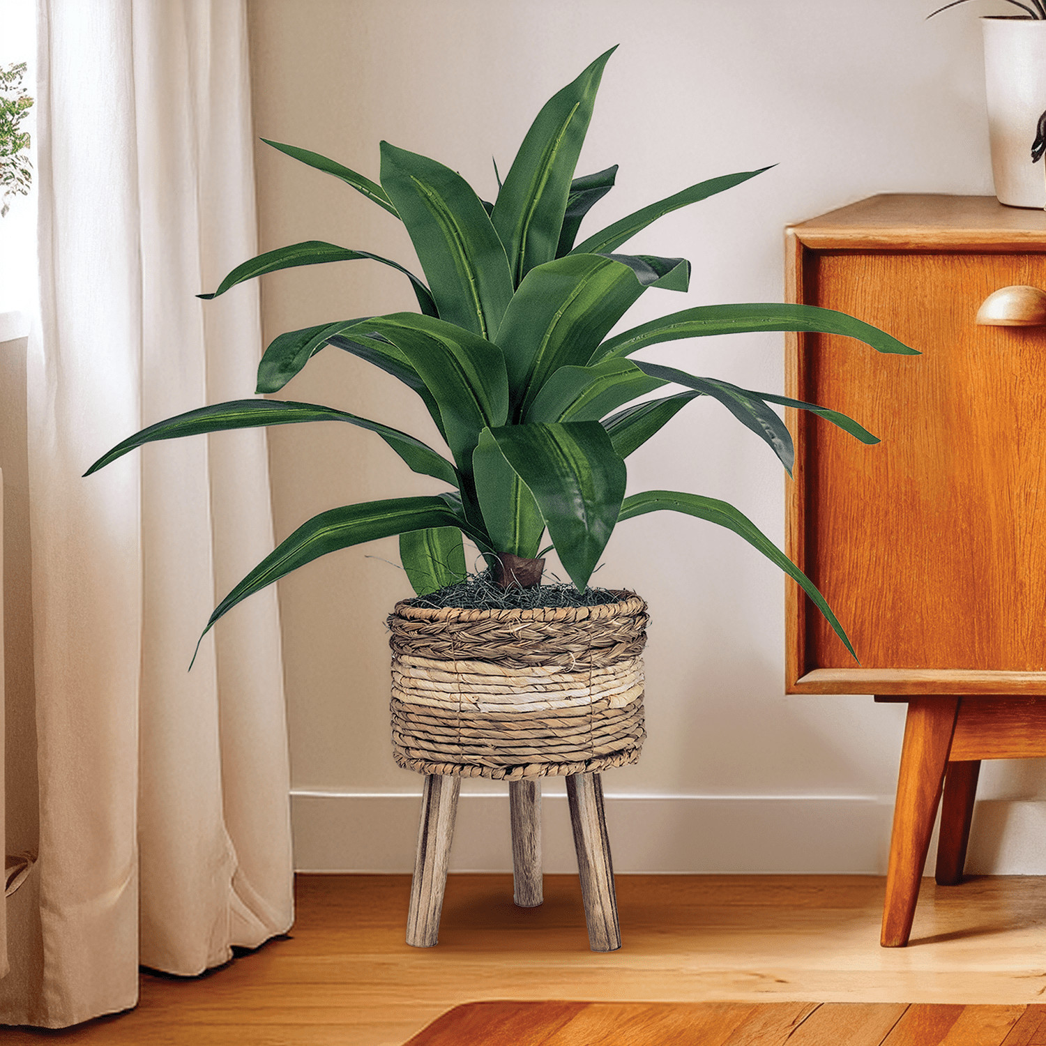 Florals Artificial Plant, Dracaena Plant, 2 ft, Multi-Color Tripod Basket Stand