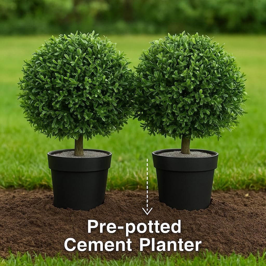 Twin 24” Faux Boxwood Trees – Lifelike Indoor/Outdoor Planters, No Water Needed