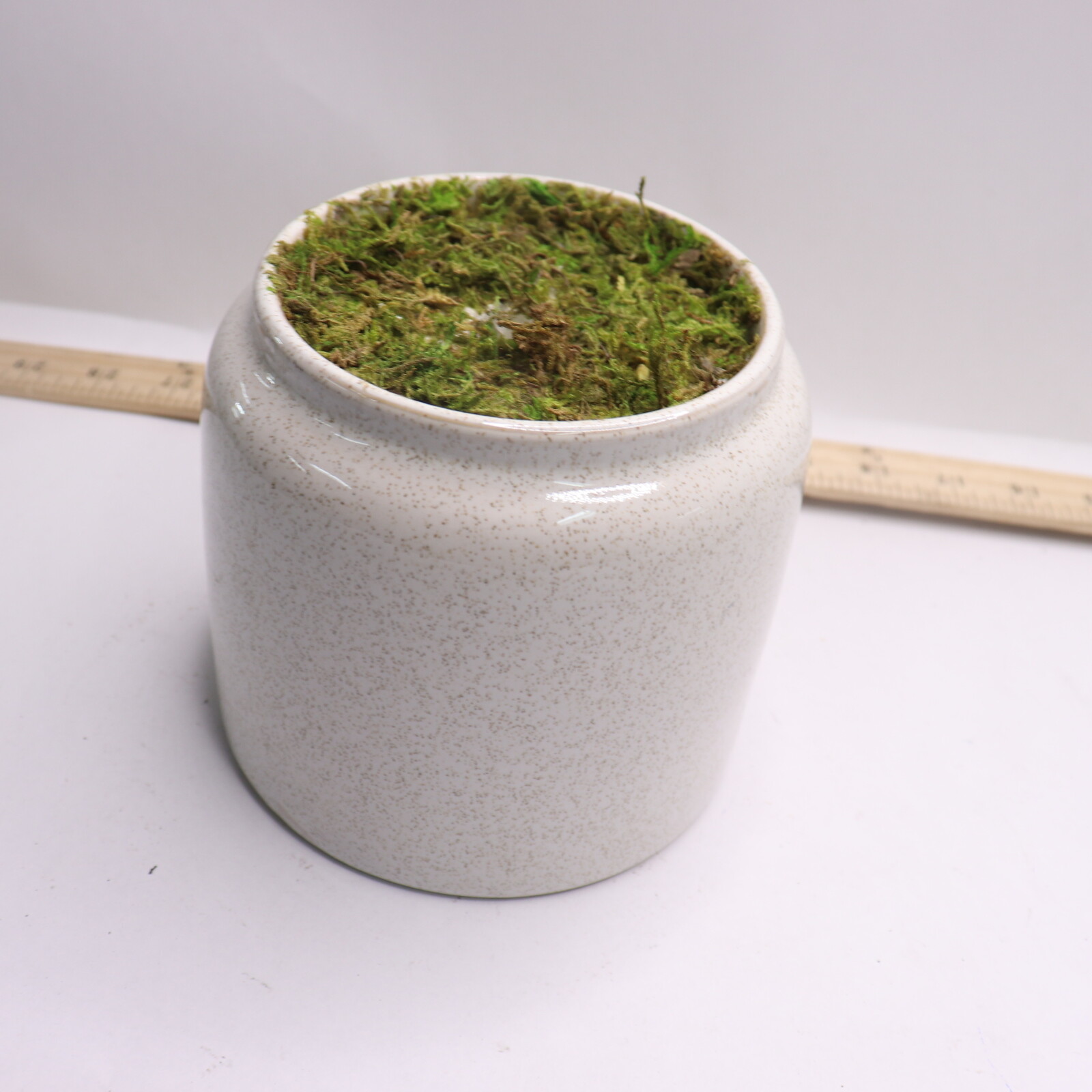 Elements Artificial Plastic Fiddlehead Greenery in Ivory Pot 20″ 5284359