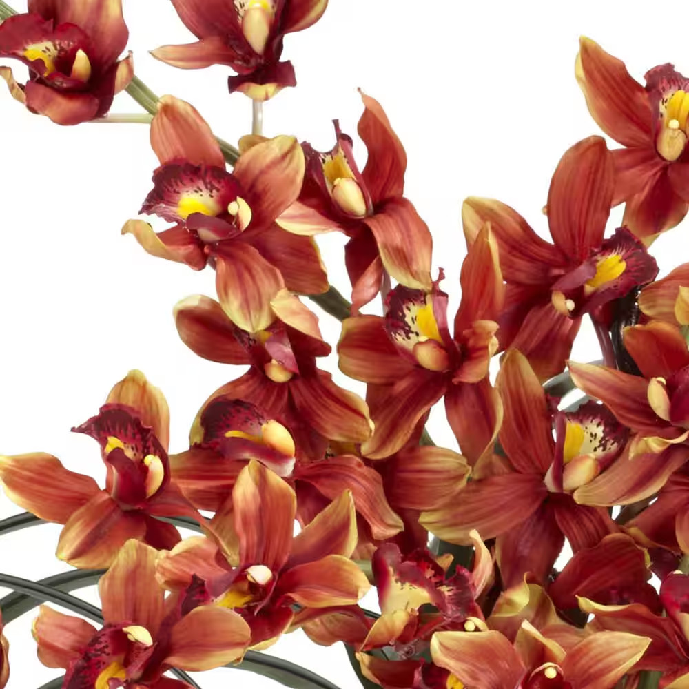 30 In. Artificial H Burgundy Cymbidium with Decorative Vase Silk Arrangement