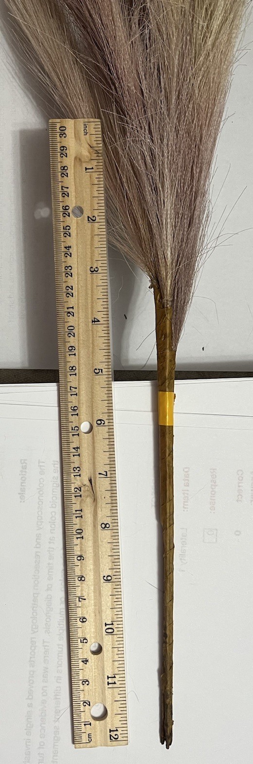 Ansemble of Faux Pampus Grass Bohemian Style Floral Arrangements about 5 Sprigs