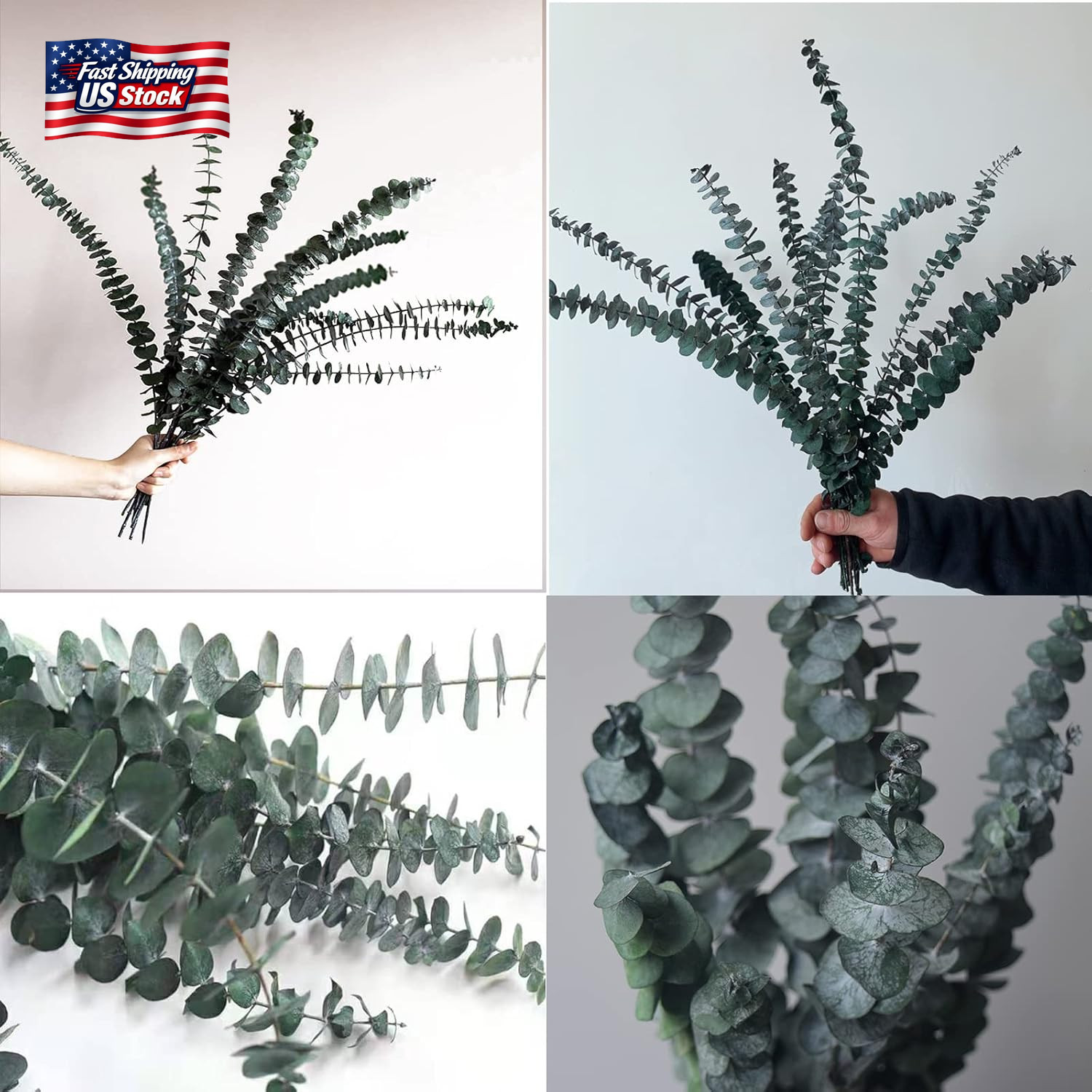 Eucalyptus for Shower 10 Pcs Hanging Dried Eucalyptu Stems 17″ Real Eucalyptus B