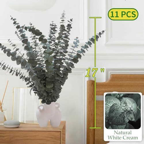 11 PCS Real Dried Eucalyptus for Shower Hanging Decor- 17” Large Eucalyptus
