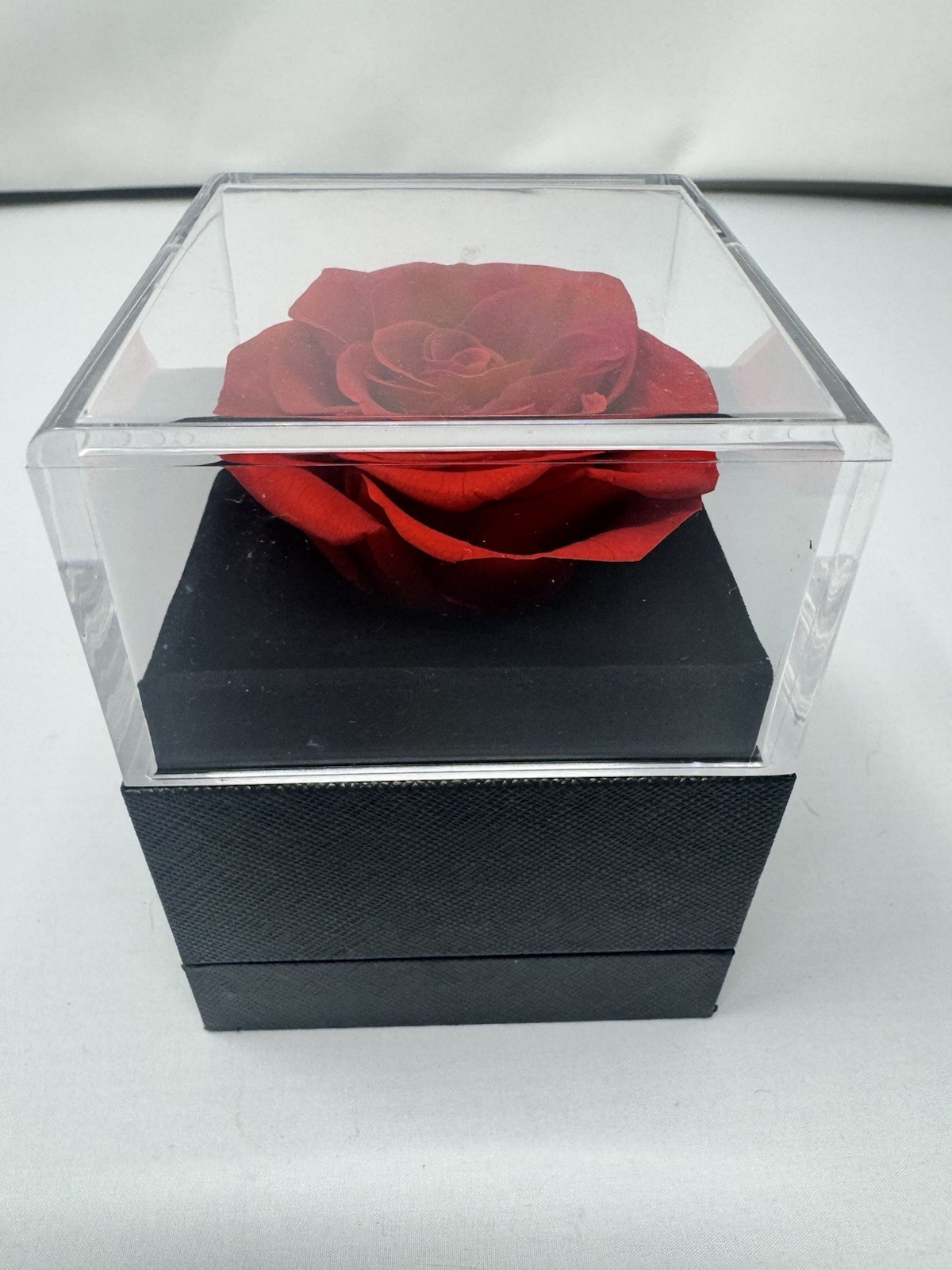 Preserved Red Rose in Acrylic Display Box Charcoal Gray “I Love You Forever”