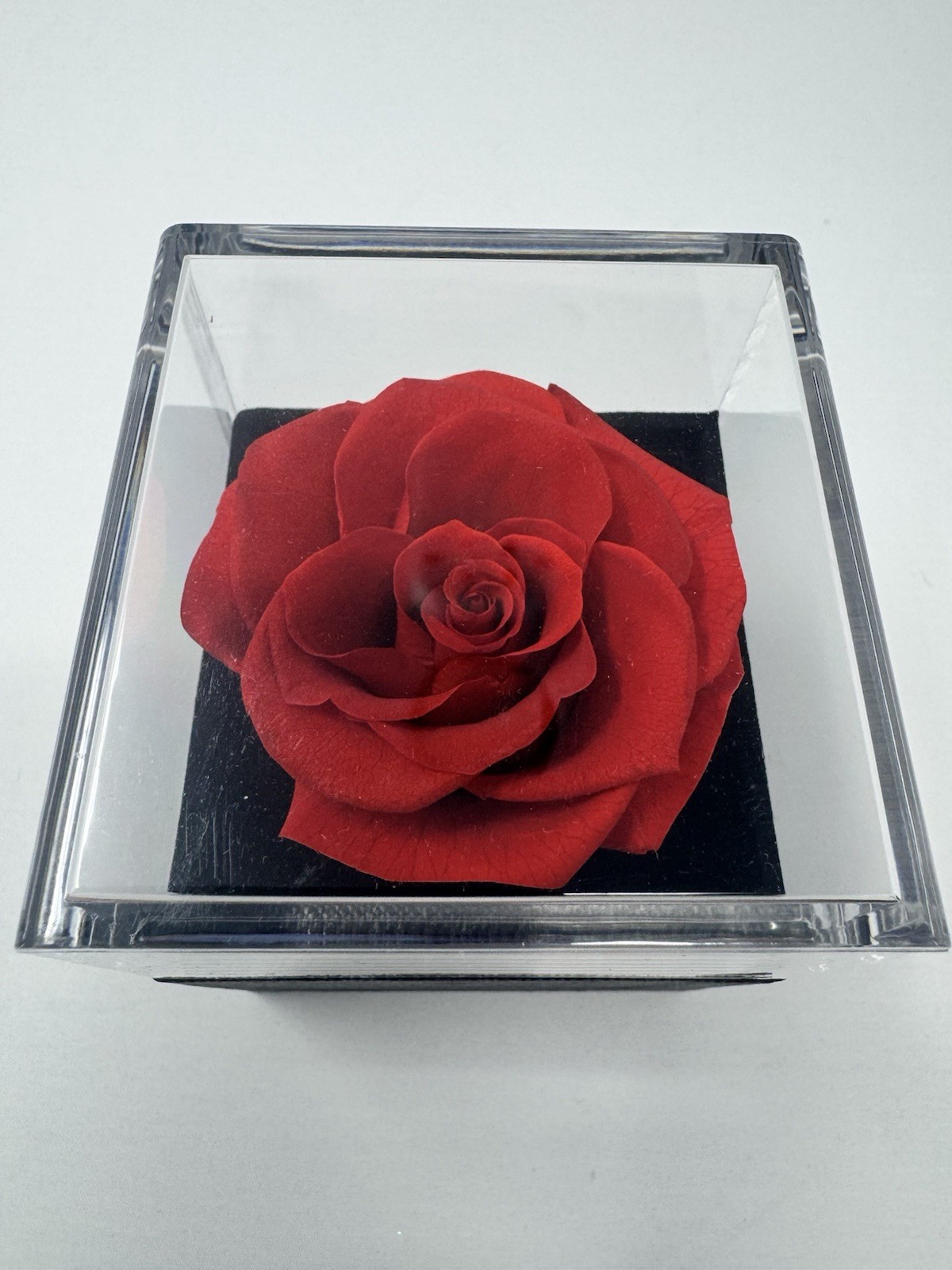 Preserved Red Rose in Acrylic Display Box Charcoal Gray “I Love You Forever”