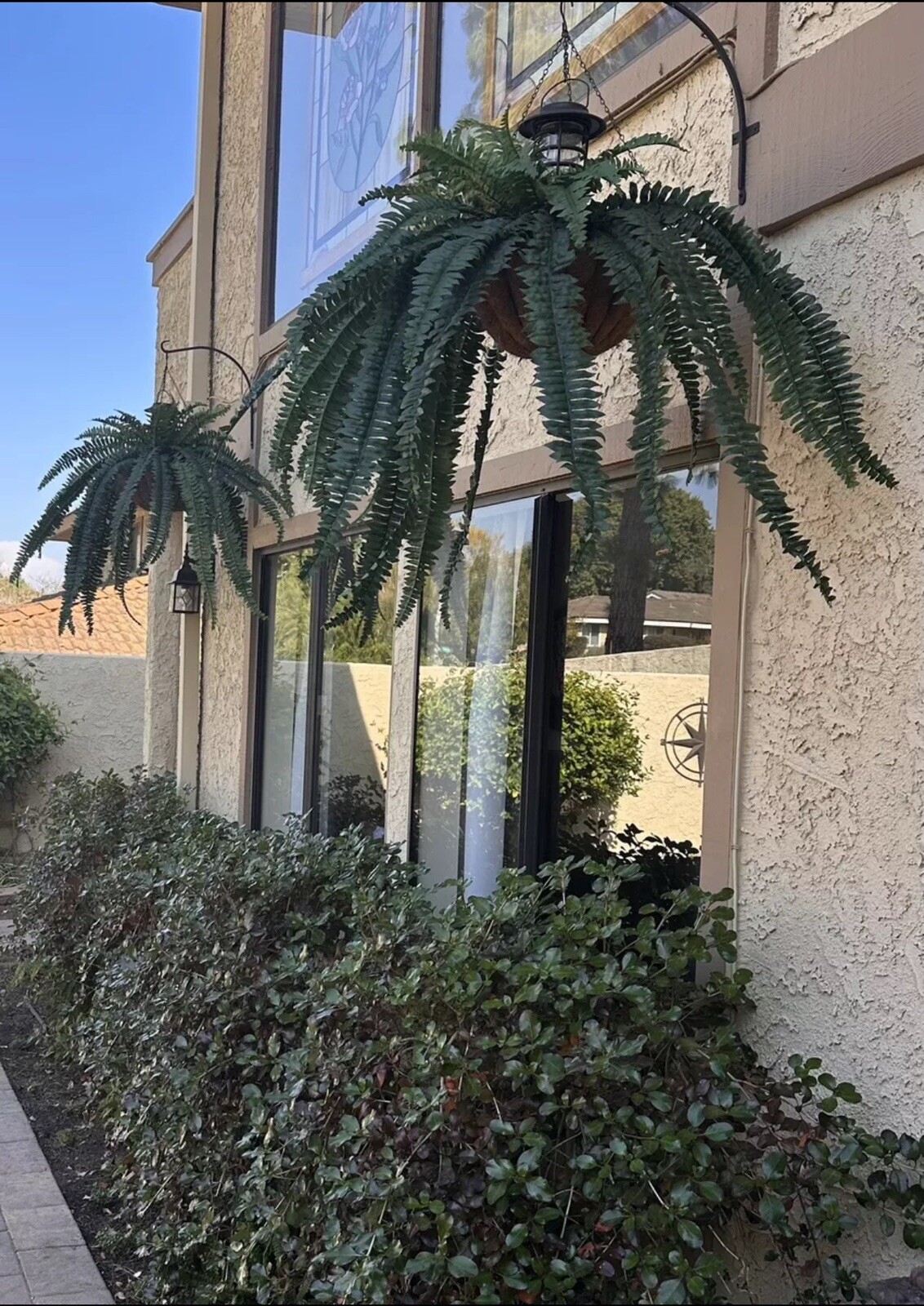 47” Boston Fern Large Artificial Bush Plant w/59 Lvs Home Decor. Retail $114