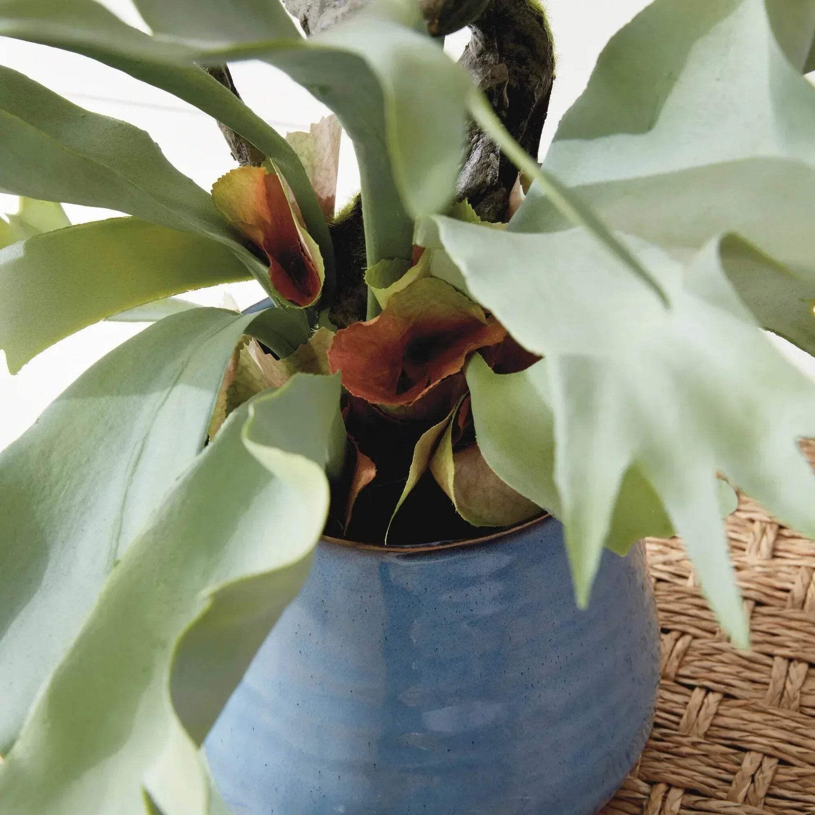 Staghorn Artificial Fern Drop-In 22″