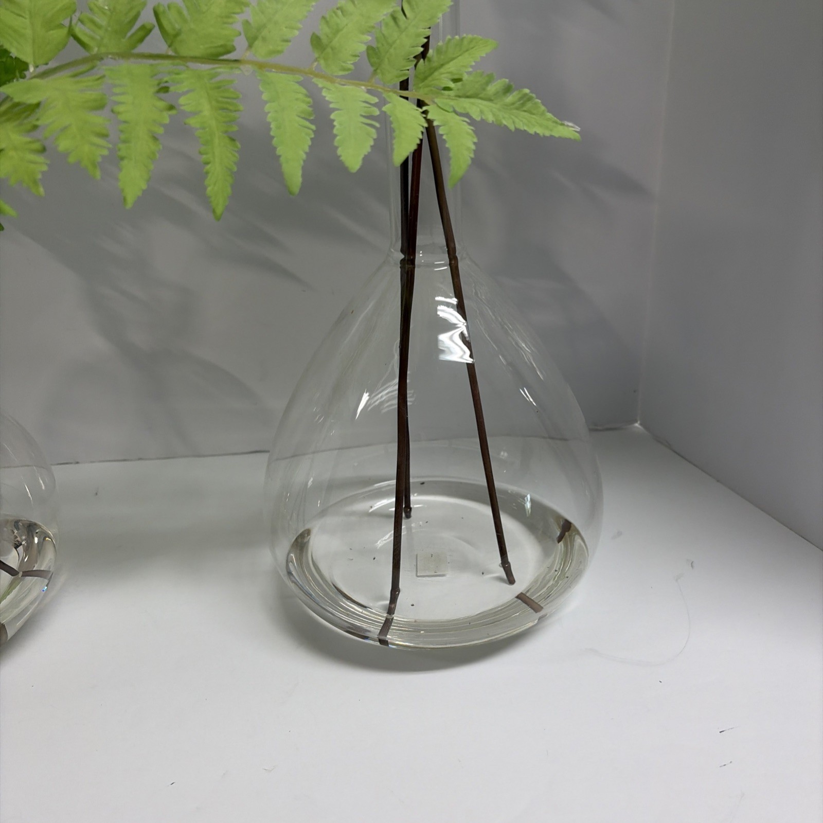 Uttermost Country Ferns and Glass Vases (Set of 2)