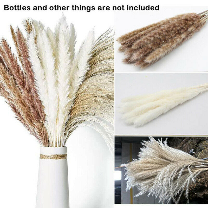 60PCS Natural Dried Pampas Grass Reed Flower Bunch Bouquets Home Wedding Decor