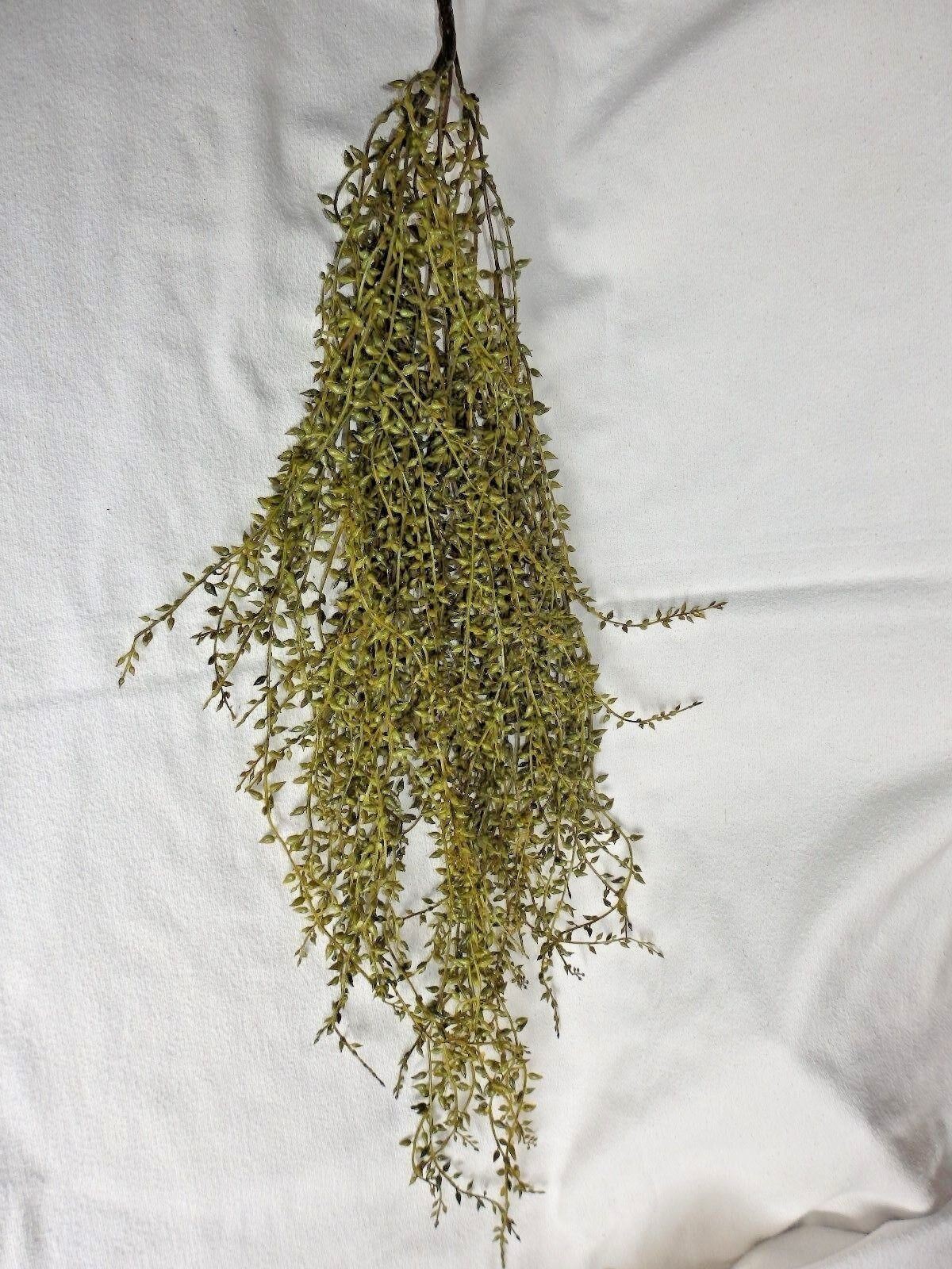 (1) Artificial 36 inch Thick Hanging BUTTON SEED Leaf Bush, Plastic, HOME DECOR