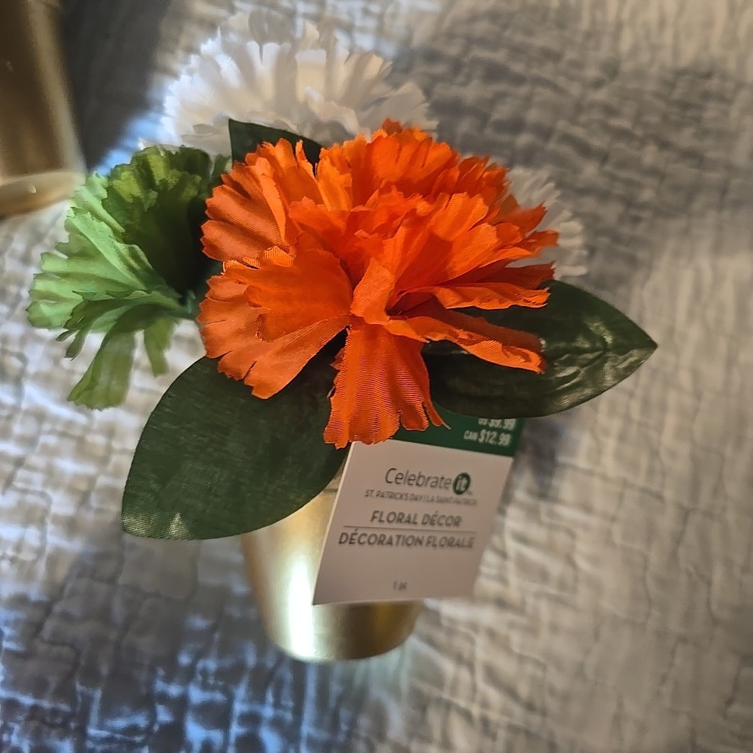 Lot Of 4 aux Orange Green White Flower 3 Inch POT Decor. Nwt. I