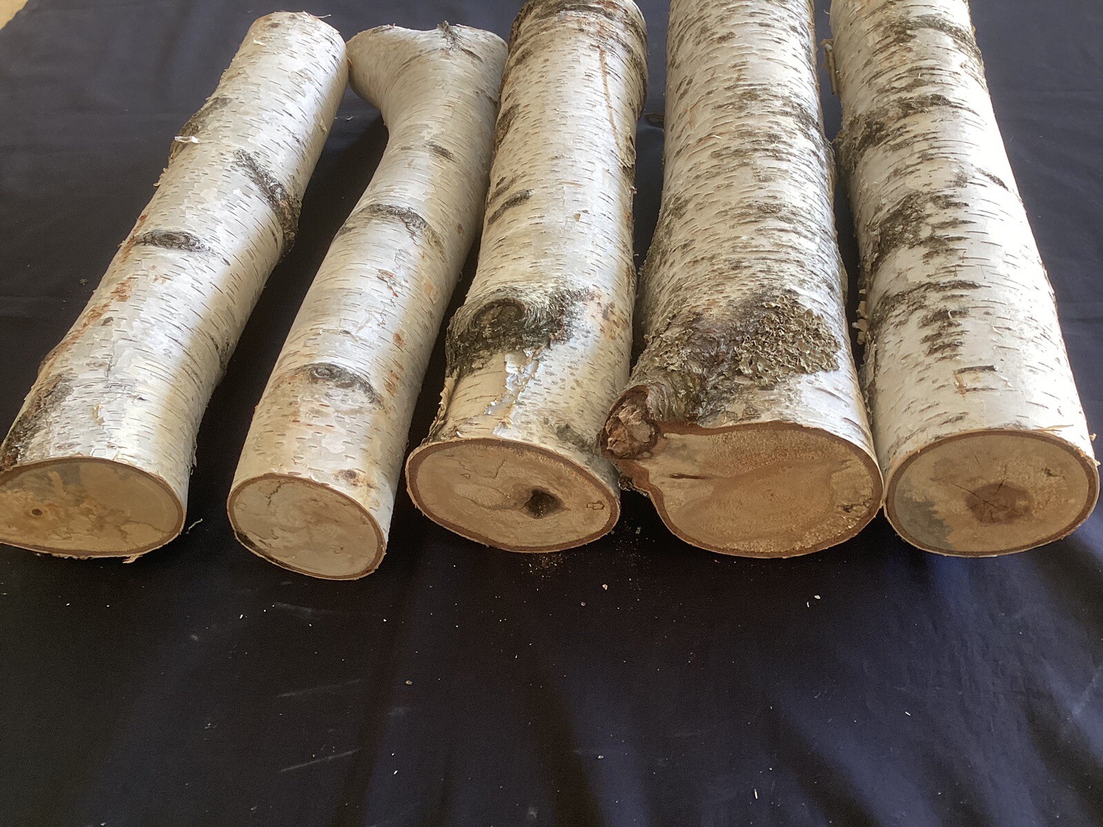 White Birch 5 Pc 18” Long Decorative Log Set ( 2 – 4”, 2 – 3”, 1 – 2 1/2” )