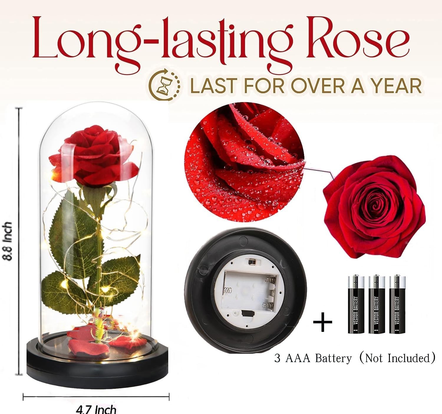 Beauty and The Beast Rose in Glass Dome, Preserved Rose Enchanted Red Silk Rose