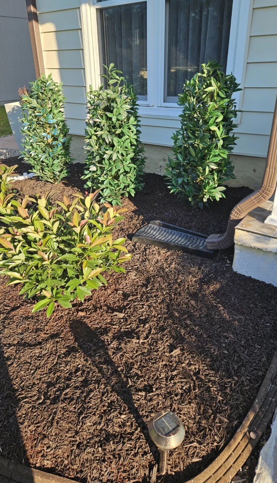 4’ Bay Leaf Artificial Topiary Tree UV (Indoor/Outdoor) Home Decor. Retail $180