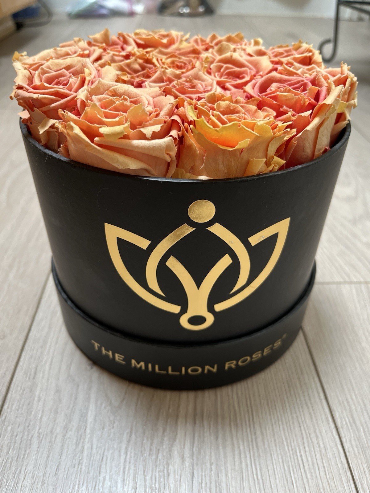 The Million roses, Peach Rose – Black Box. Retail $389 LONG-LASTING FLOWERS
