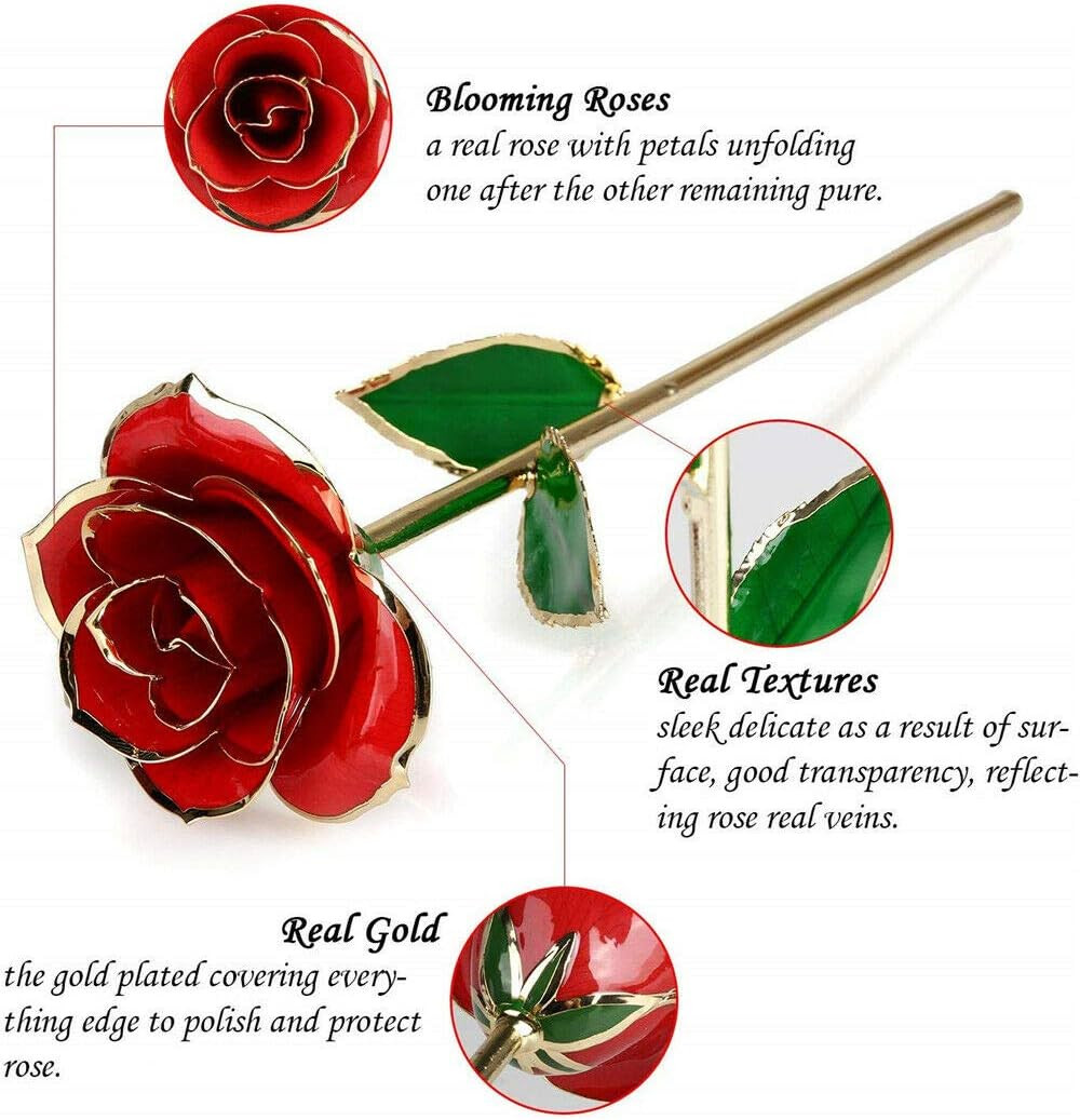 Valentines Day Gifts for Her, Real Rose Dipped in 24K Gold, Preserved Rose Flowe