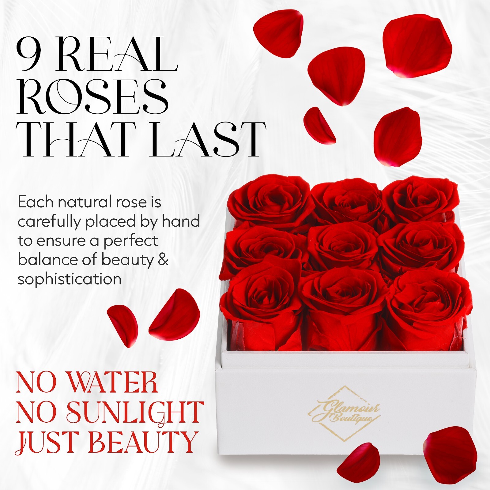 Glamour Boutique Preserved Roses in a Box 9-Piece Flowers Decor in Square Box