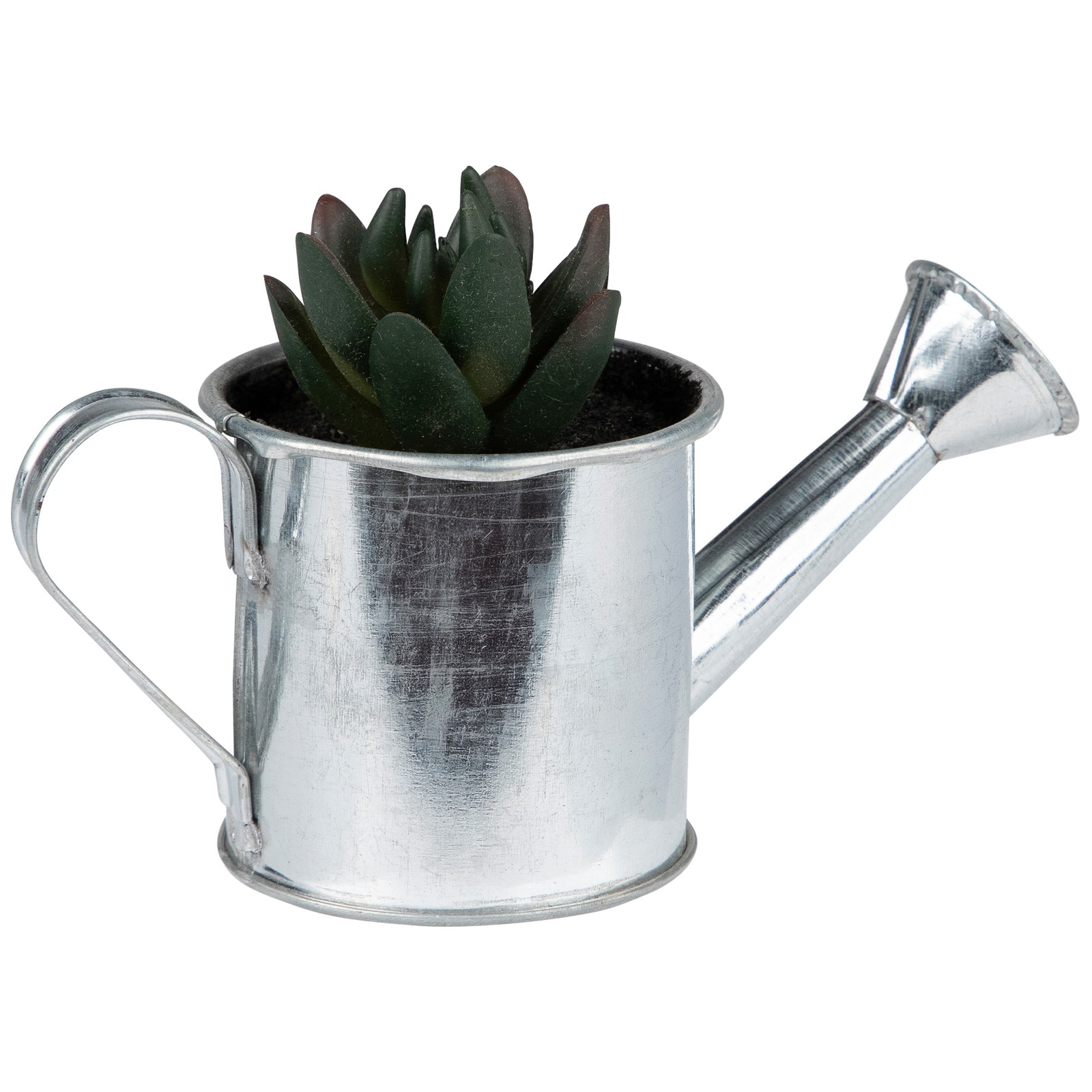 Northlight 4� Tropical Green Mini Artificial Pachyveria Succulent Tin Water Can