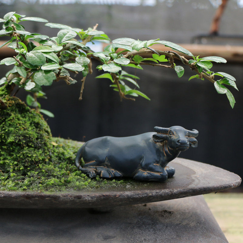 Simulated Buffalo Micro-landscape Landscaping Small Ornament Rockery Decorative