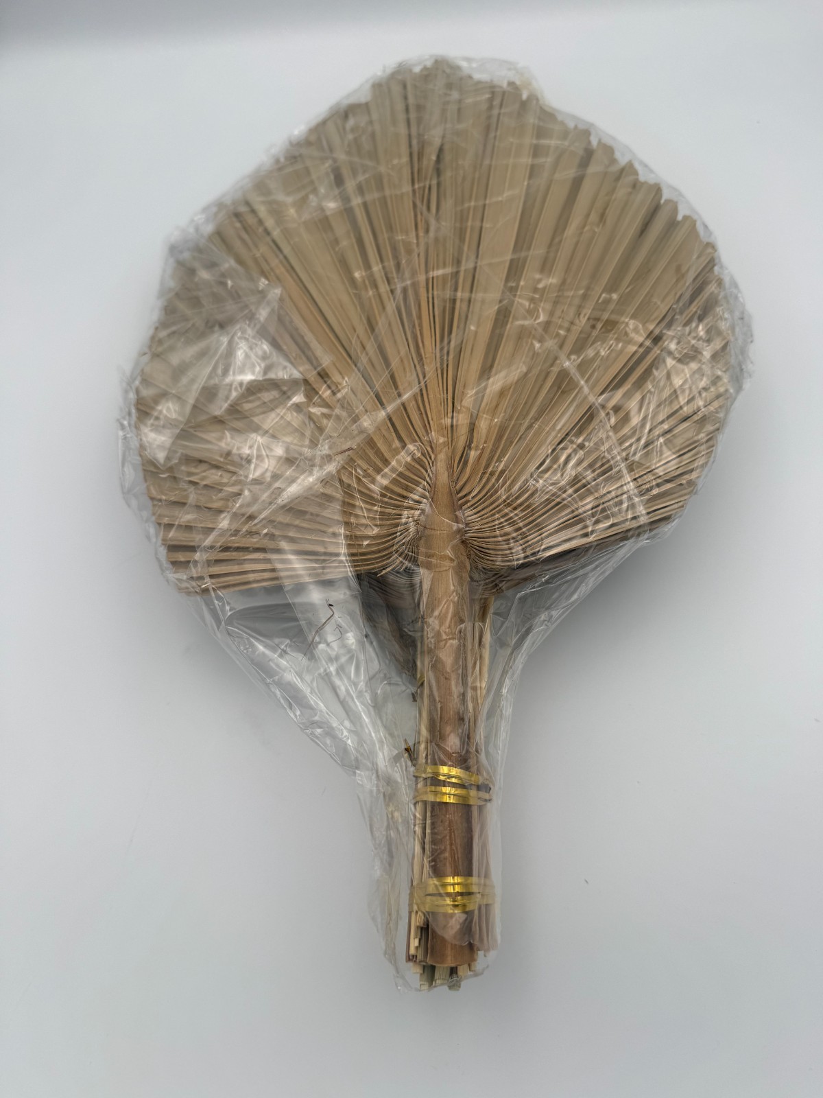 Dried Palm Leaves Fan Wall Decor Kit Natural Ornamental Grass Stems 16-17 in