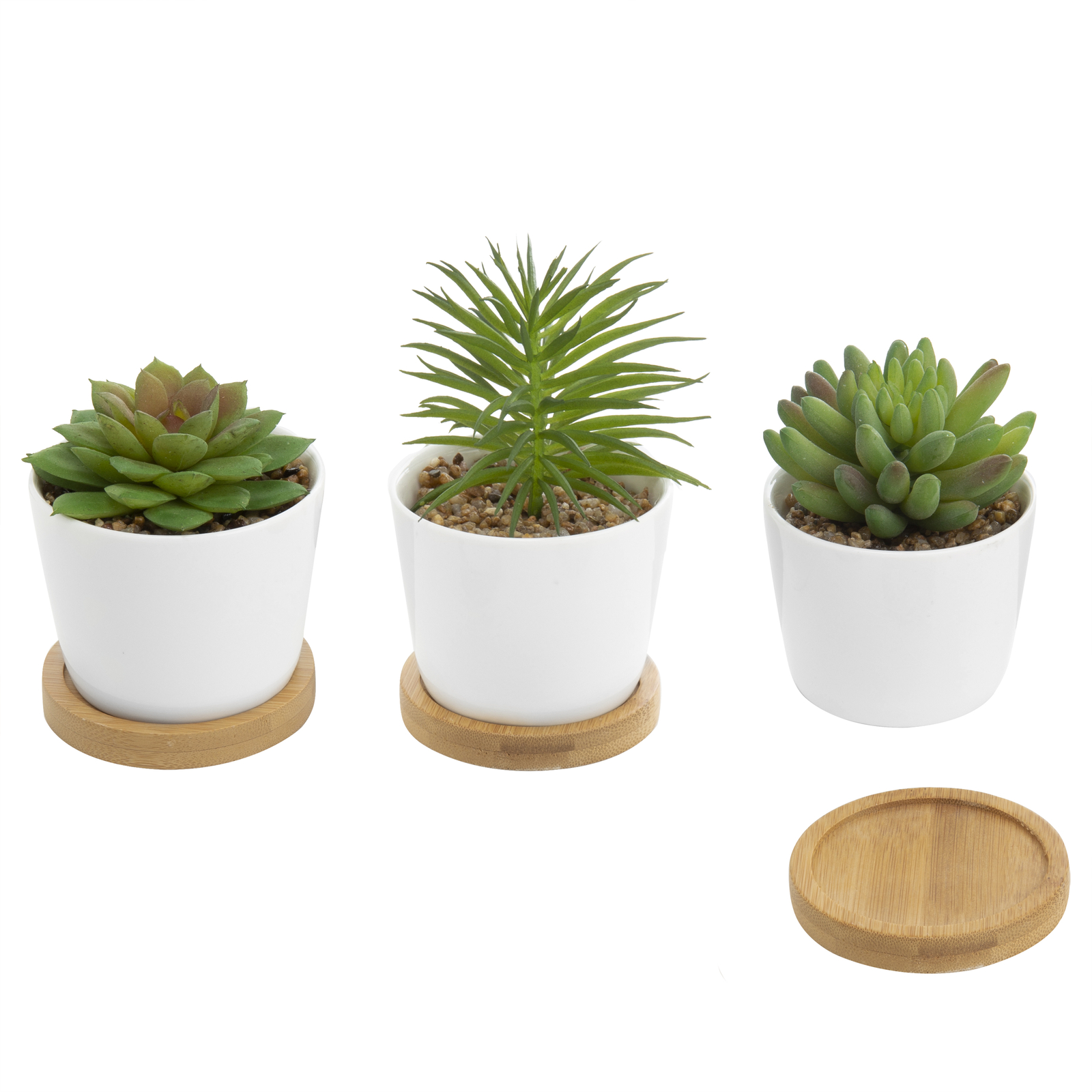 Decorative Faux Succulent Plants in White Ceramic Pots w/Bamboo Saucer, 3 Pots